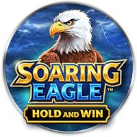 Soaring Eagle