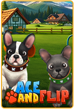 Ace & Flip